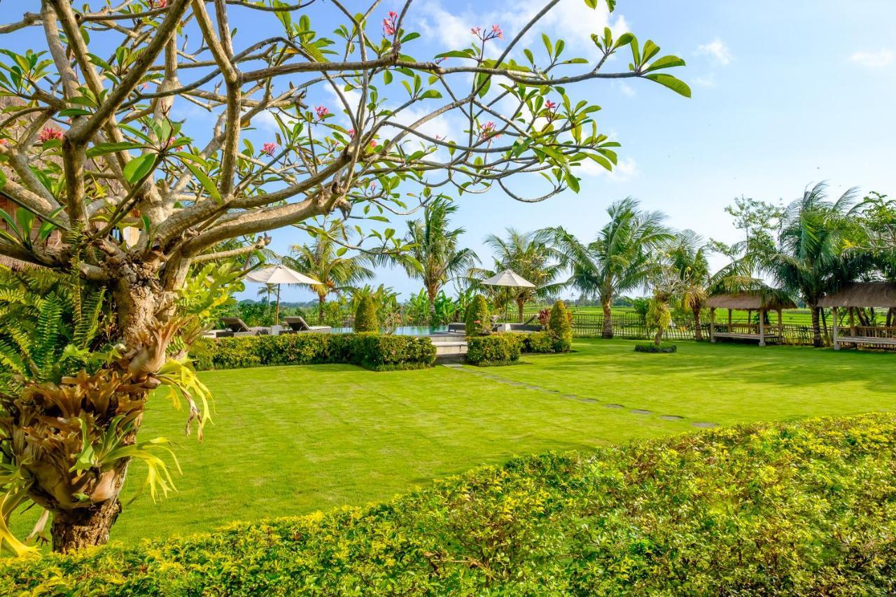Canggu Wooden Green Paradise 외부 사진