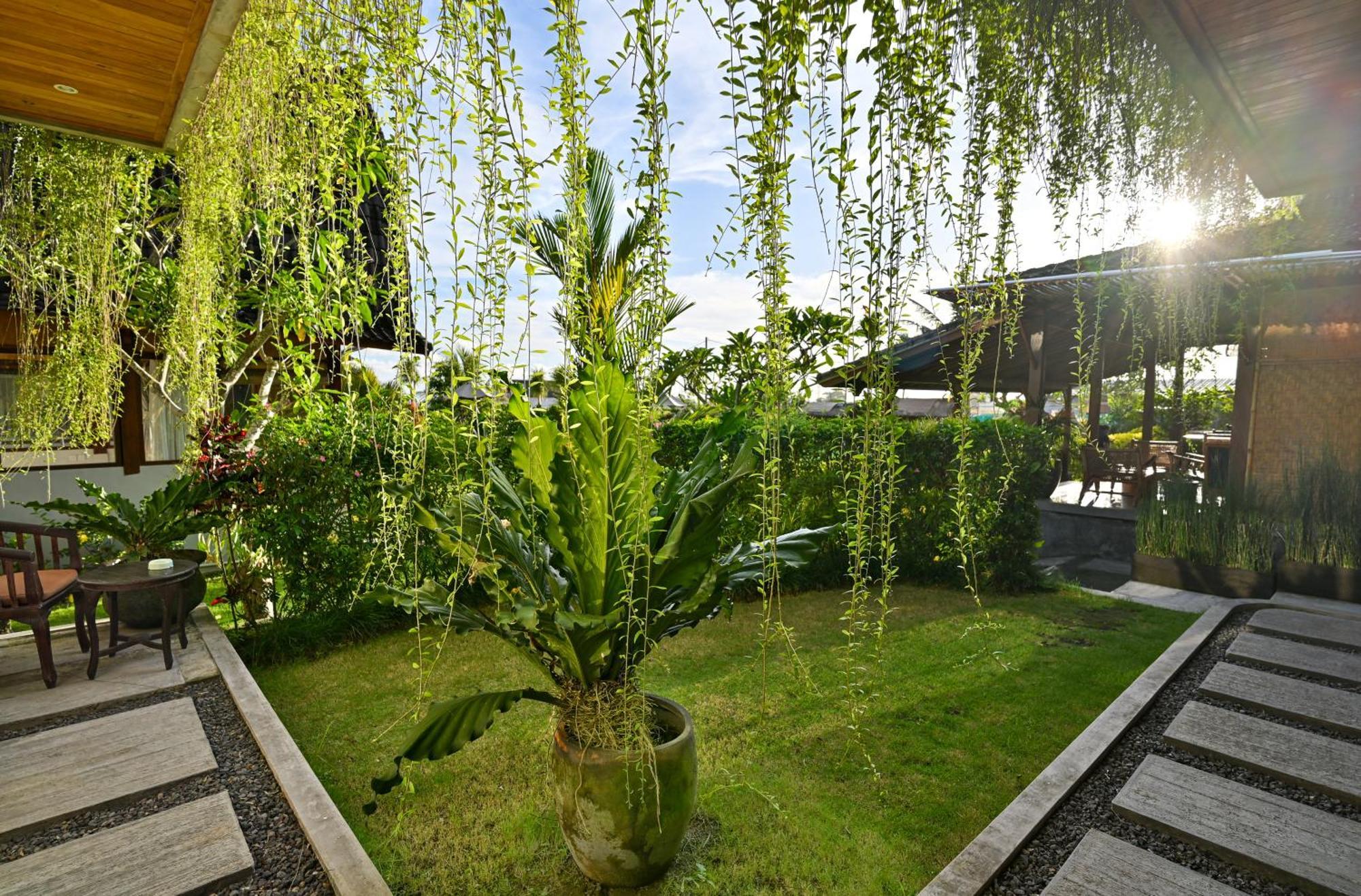 Canggu Wooden Green Paradise 객실 사진