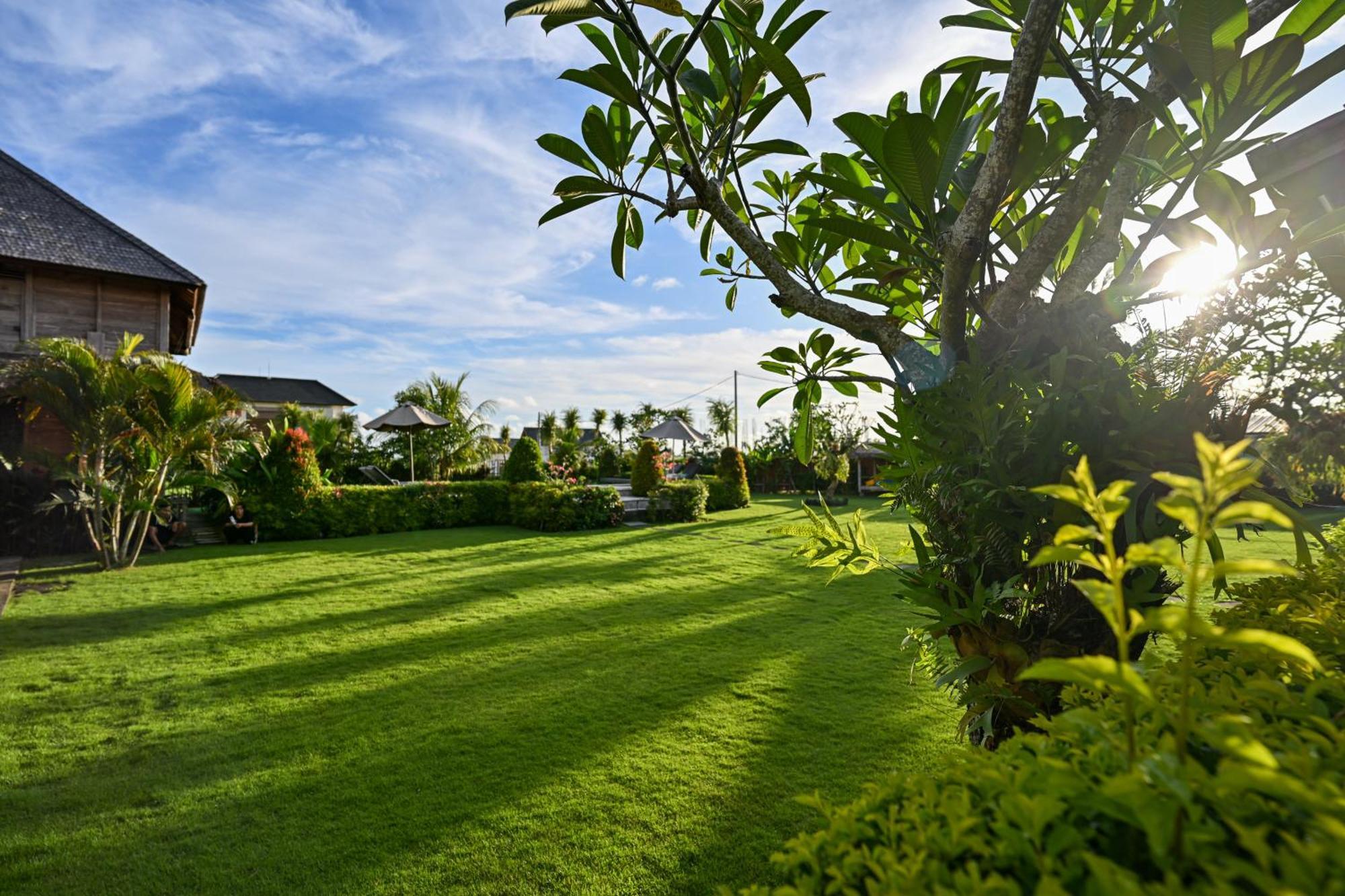 Canggu Wooden Green Paradise 외부 사진